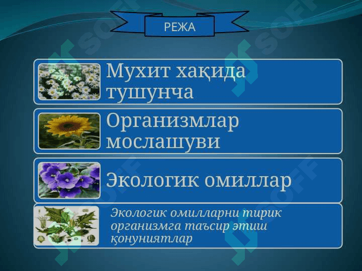 Мухит ва экологик омиллар 2