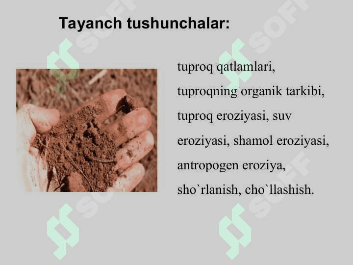 Tuproq muhofazasi 4