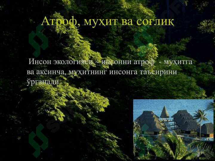 Экология 6