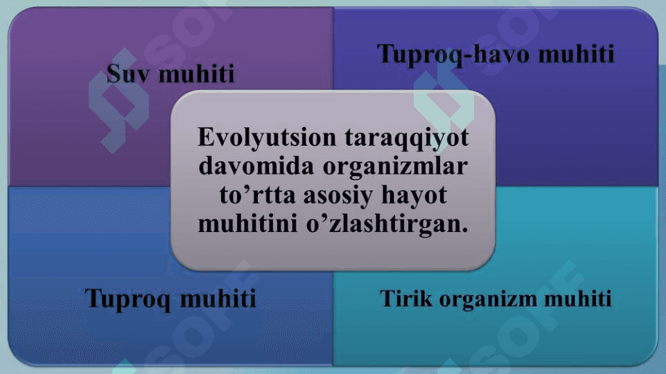 Atrof-muxit ekologik omillari va ularning o‘zaro ta’siri xususiyatlari 5