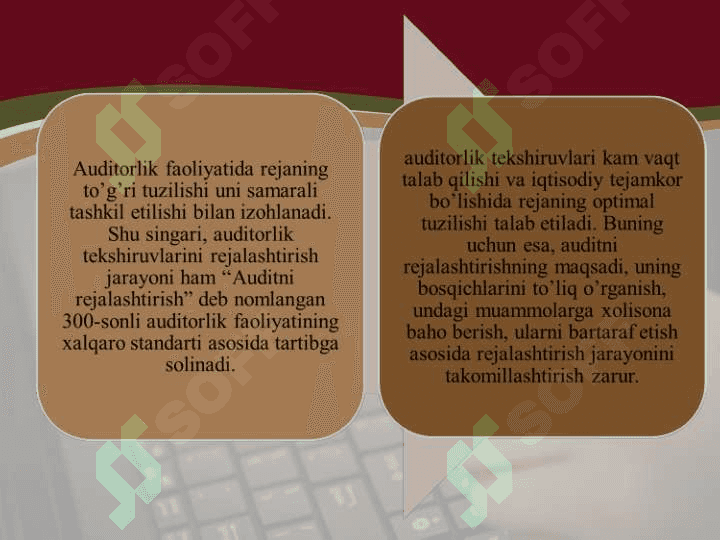 Auditorlik tekshiruvini rejalashtirish 6