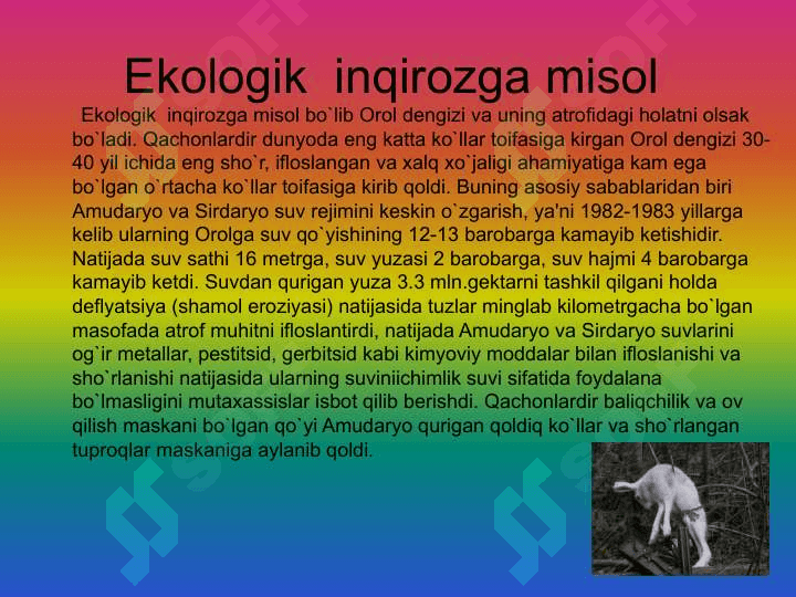 Ekologiya huquqi 5