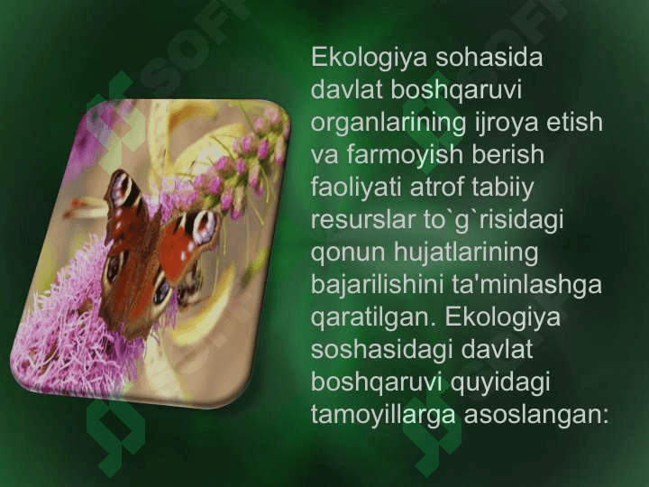 Ekologiya sohasida 5