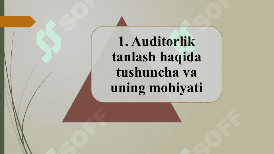 Auditorlik tanlash 4