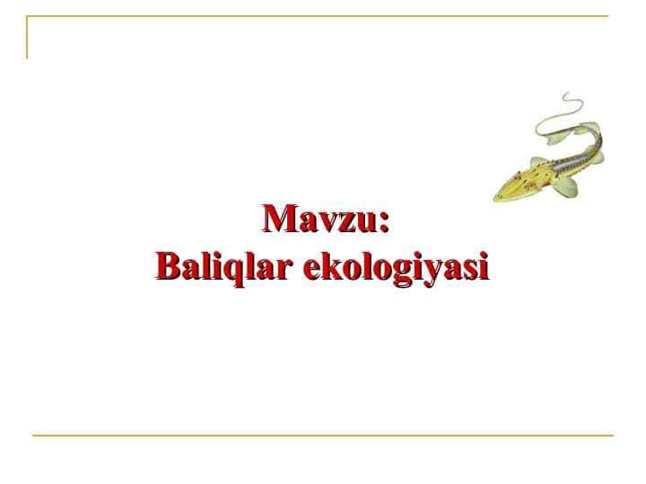 Baliqlar ekologiyasi 1