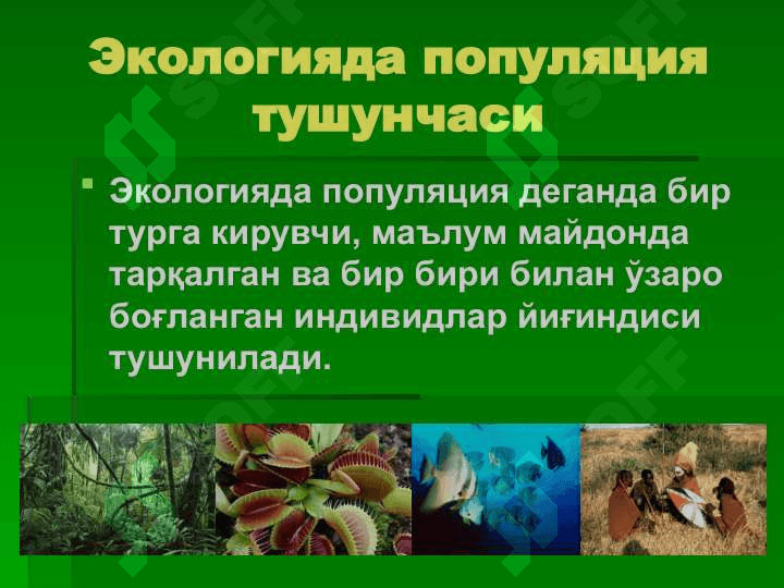 Ekologiya va tabiat 3