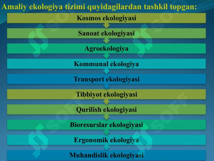 Ekologiya 6