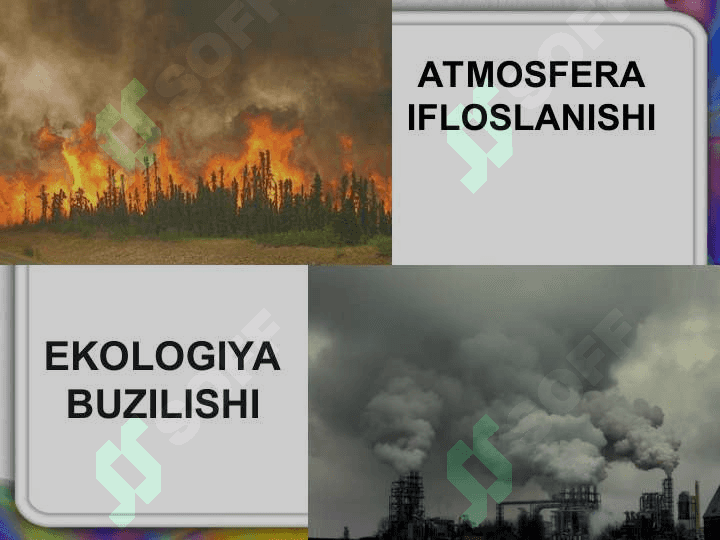 Atmosfera ifloslanishining atrof muhit va inson salomatligiga ta’siri 6