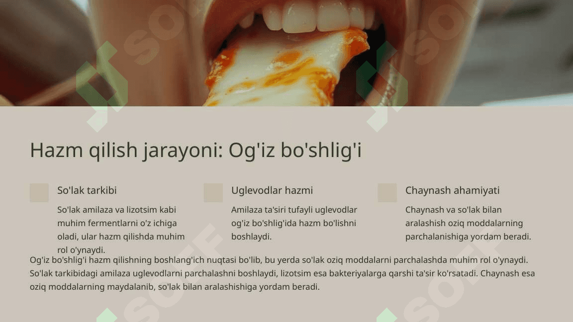Oshqozon-ichak tizimi biokimyosiga kirish 2