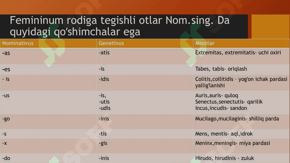 Uchinchi  turlanish Femininum rodiga tegishli otlar 2