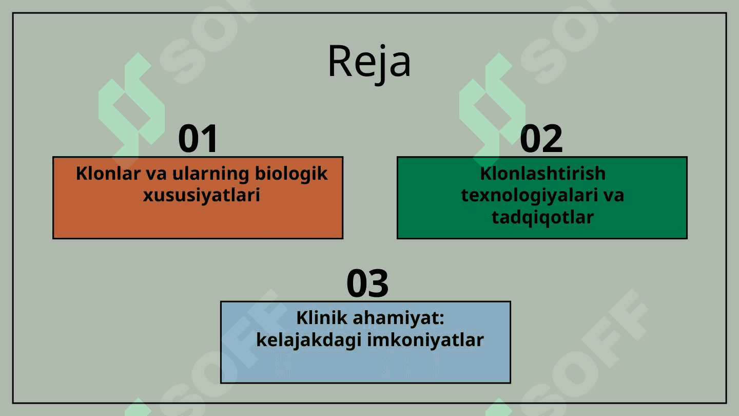 Klonlar , klonlashtirish va ularning klinik ahamiyati 2