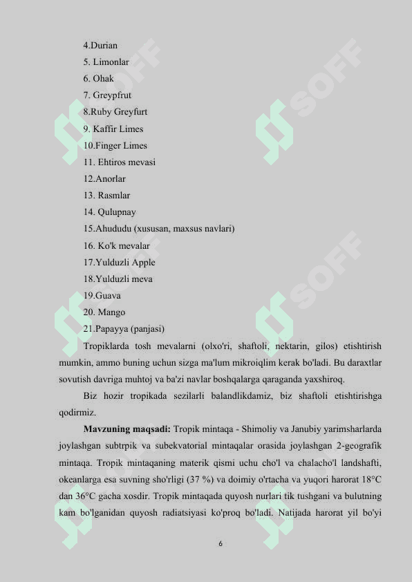 Tropikada tarqalgan oziq ovqat oʻsimliklari 6