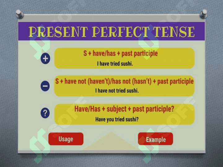 Present Perfect Tense 2