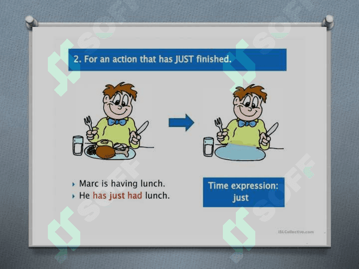 Present Perfect Tense 6