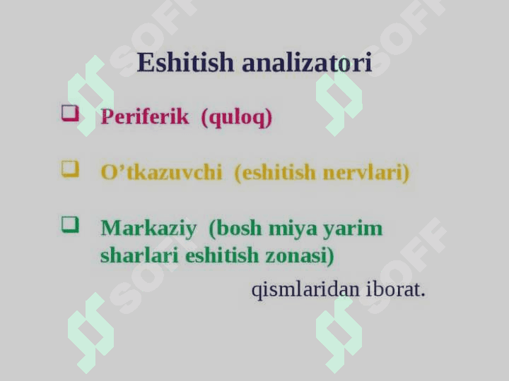 QULOQNING TUZILISHI 3