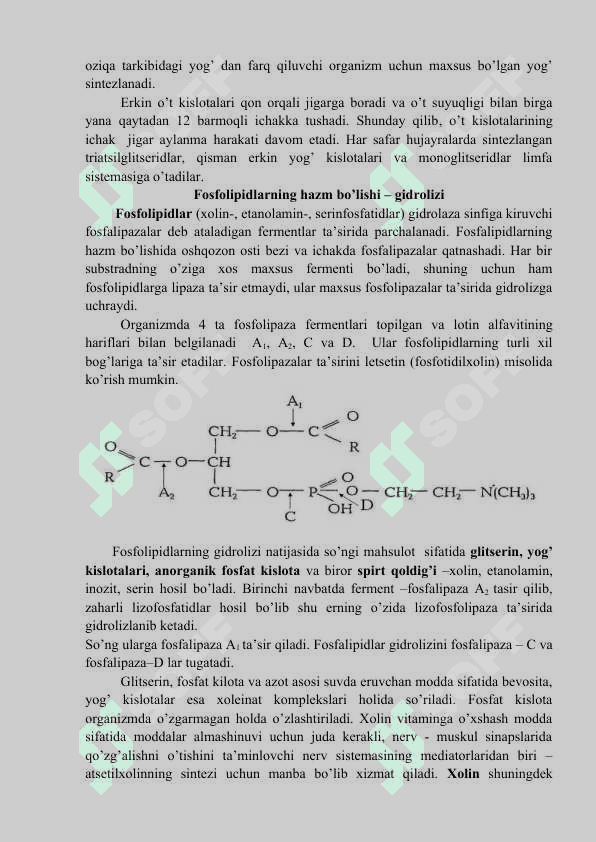 Lipidlar almashinuvi 4