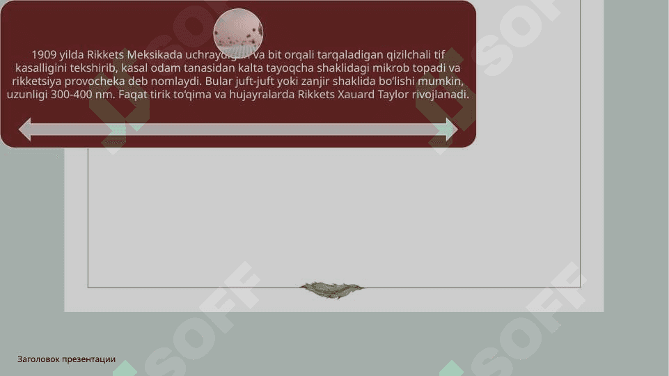 Patogen rikketsiyalarPatogen rikketsiyalar 3