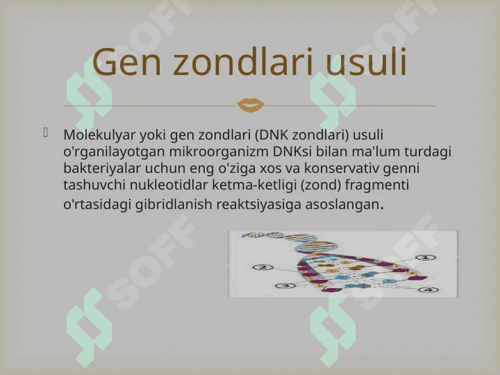 Gen zondlari usuli.polimerazali zanjirli reaksiya-PZR 3