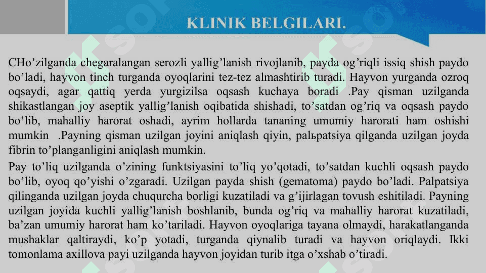 Otlarda uchraydigan pay kasalliklari 4
