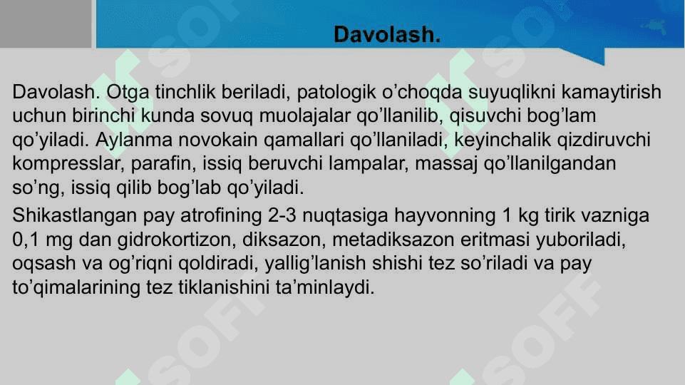 Otlarda uchraydigan pay kasalliklari 8
