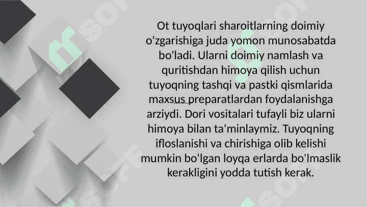 Otlar tuyoqlarini tozalash va taqalash texnikasi 2