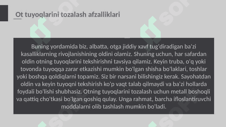 Otlar tuyoqlarini tozalash va taqalash texnikasi 3