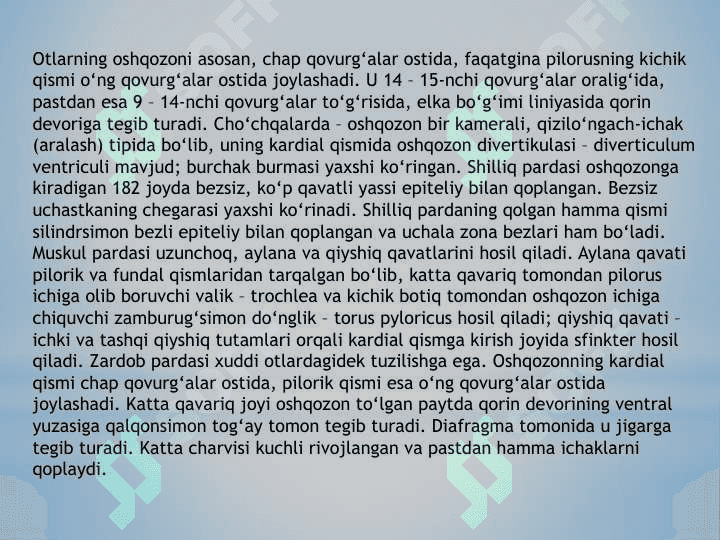 Qizil o’ngach va Oshqozon 7
