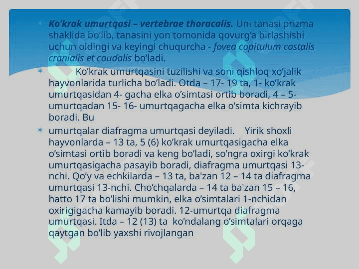 Umurtqa, qovurg`a, to`sh suyagi, ko`krak  qafasi suyaklari 3