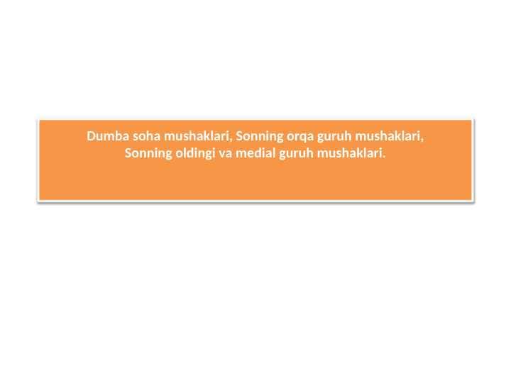 Dumba soha mushaklari, Sonning orqa guruh mushaklari,Sonning oldingi va medial guruh mushaklari
