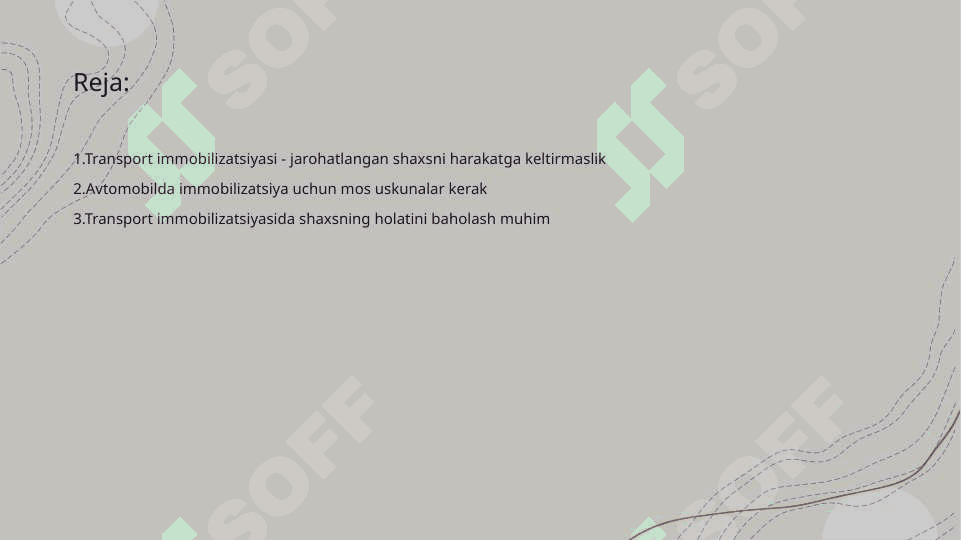 Transport immobilizatsiyasiTransport immobilizatsiyasi 2