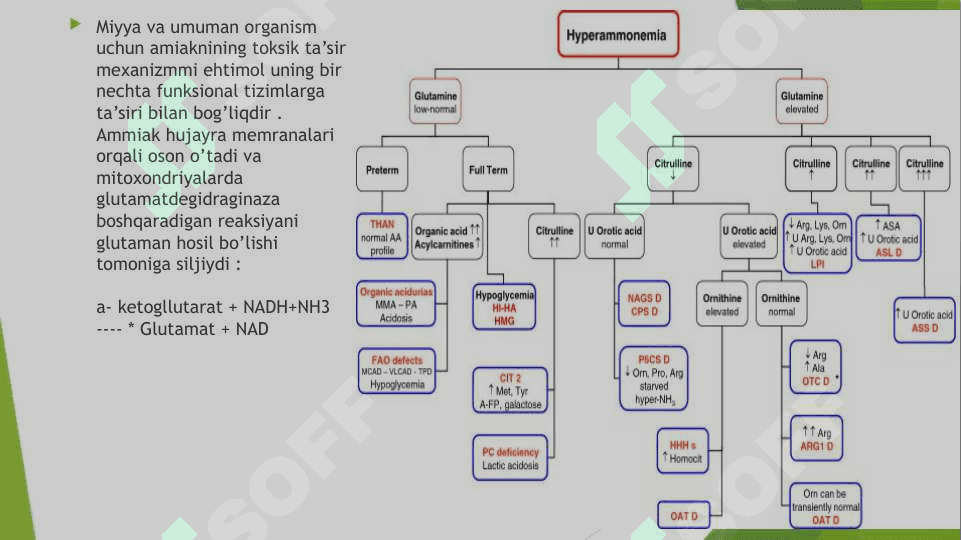 Giperammonemiya turlari , tashxis qo’yishdagi klinik ahamiyati 2