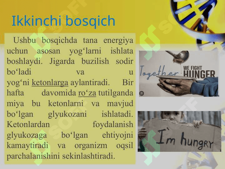 Gipoenergetik holatlar 8