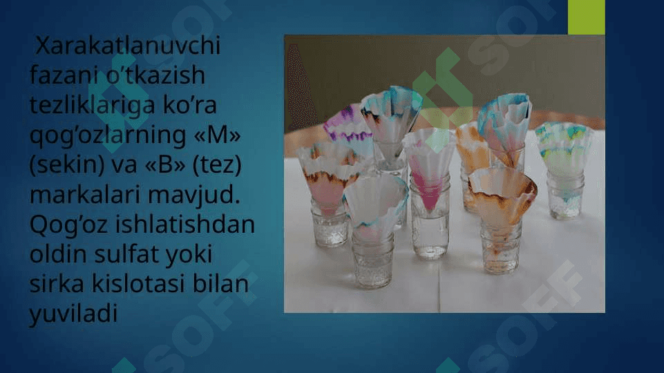 Qog'ozli Xromotografiya 6
