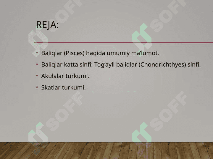 Baliqlar umurtqalilarning birlamchi suvda hayot kechiruvchi vakili sifatida, baliqlar katta sinfining biologik va morfologik ta’rifi 2