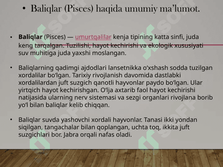 Baliqlar umurtqalilarning birlamchi suvda hayot kechiruvchi vakili sifatida, baliqlar katta sinfining biologik va morfologik ta’rifi 3