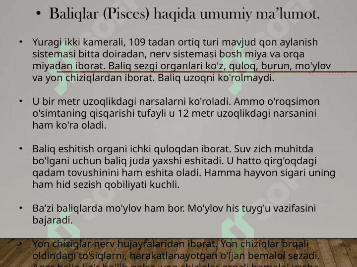 Baliqlar umurtqalilarning birlamchi suvda hayot kechiruvchi vakili sifatida, baliqlar katta sinfining biologik va morfologik ta’rifi 4