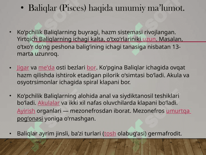 Baliqlar umurtqalilarning birlamchi suvda hayot kechiruvchi vakili sifatida, baliqlar katta sinfining biologik va morfologik ta’rifi 6