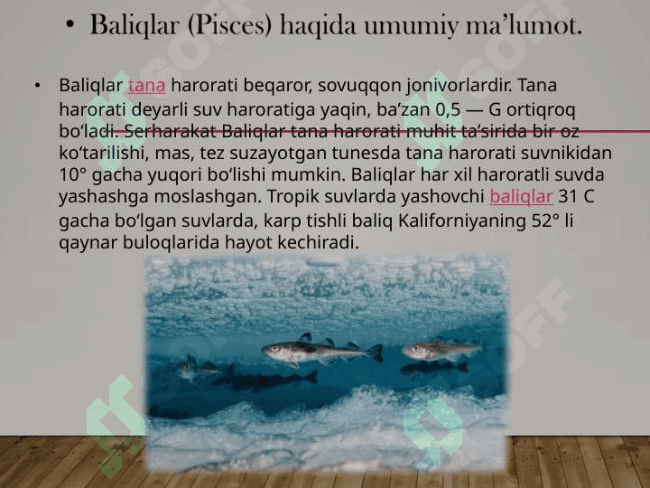 Baliqlar umurtqalilarning birlamchi suvda hayot kechiruvchi vakili sifatida, baliqlar katta sinfining biologik va morfologik ta’rifi 7