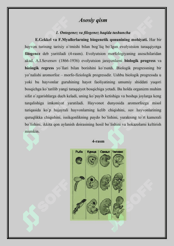 KO’P HUJAYRALI ORGANIZMLARNING KELIB CHIQISHI NAZARIYASI 7
