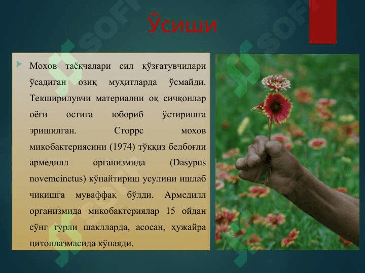 МОХОВ (ЛЕПРА) - MOXOV (LEPRA) 5