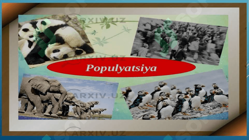 POPULYATSIYALAR EKOLOGIYASI 3