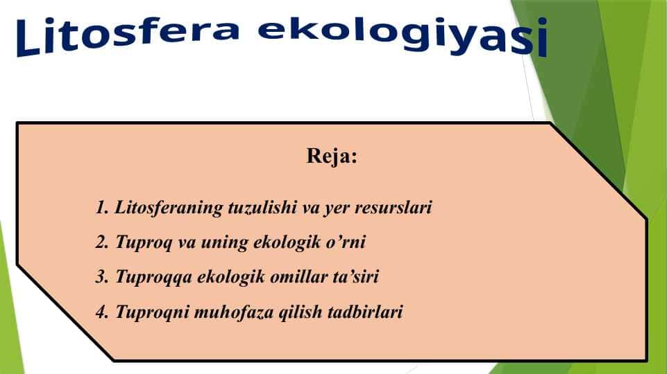 Litosfera ekologiyasi
