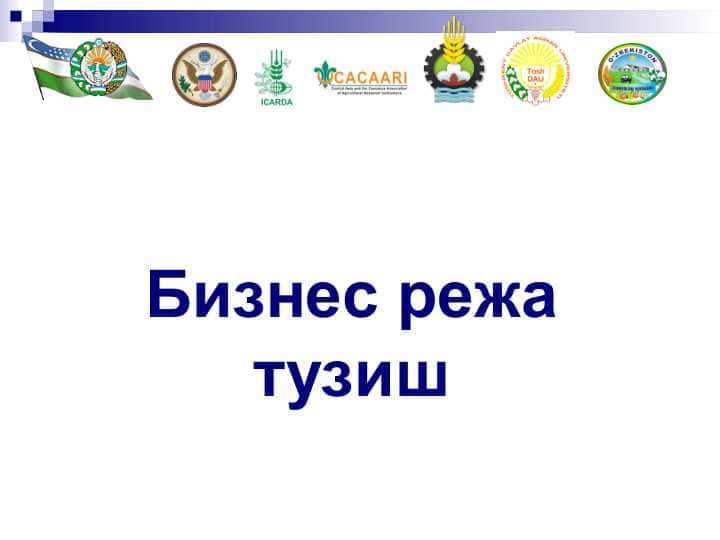 Бизнес режа тузиш
