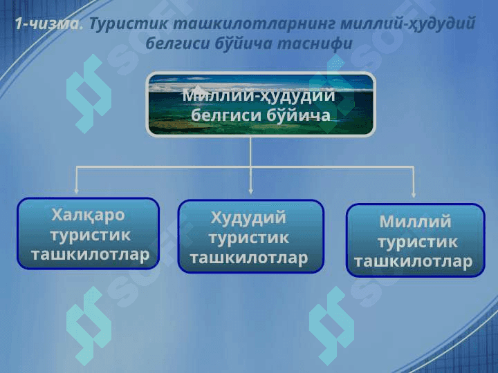 Туристик ташкилотлар таснифиТуристик ташкилотлар таснифи 6