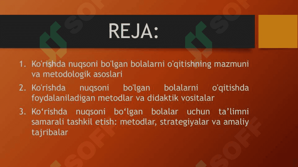 Ko'rishda nuqsoni bo'lgan bolalarni o'qitishning mazmuni va metodlari 2