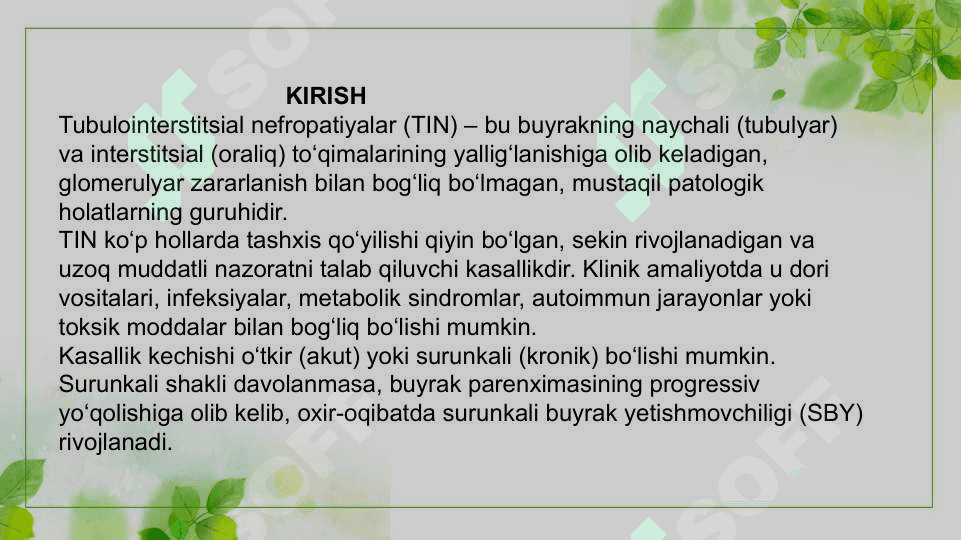 Tubulointerstitsial nefropatiyalar 3