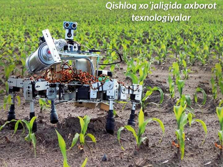 Qishloq xo’jaligida axborot texnologiyalar