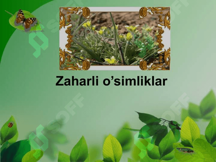 Zaharli organizimlar 2