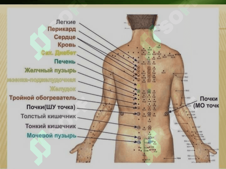 Bolalarda xalq tabobati usullarini qo'llashga ko'rsatmalar 3