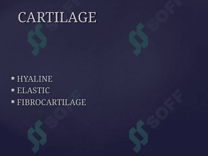 Cartilage and bone. Hyaline, elastic cartilago and fibrocartilago 2